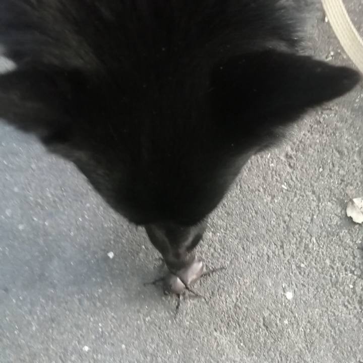 E54ba0f5 84bd 4b74 8b40 be1aab758baf 1660857023164