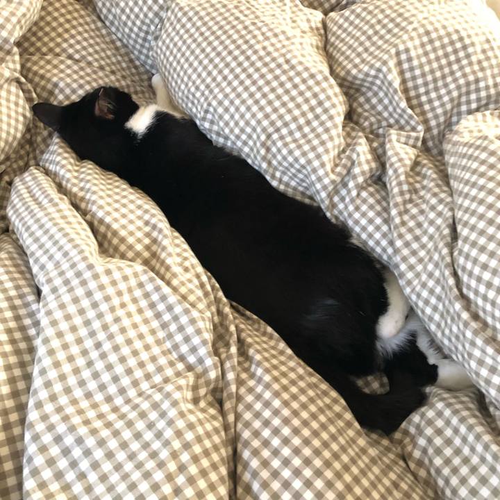 E54bbd46 4749 4b4f b1c0 0f08c58926a3 1542451180444