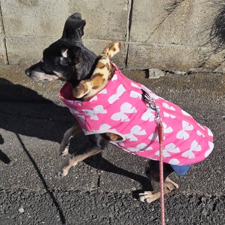 E54bebdf b6ae 4bc3 93ed cd6f990f88e2 1768270590603