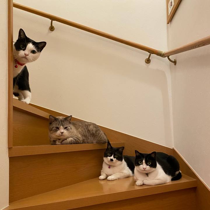 E54c28b9 aa7e 4225 b21c 9cba7245450d 1597367292401