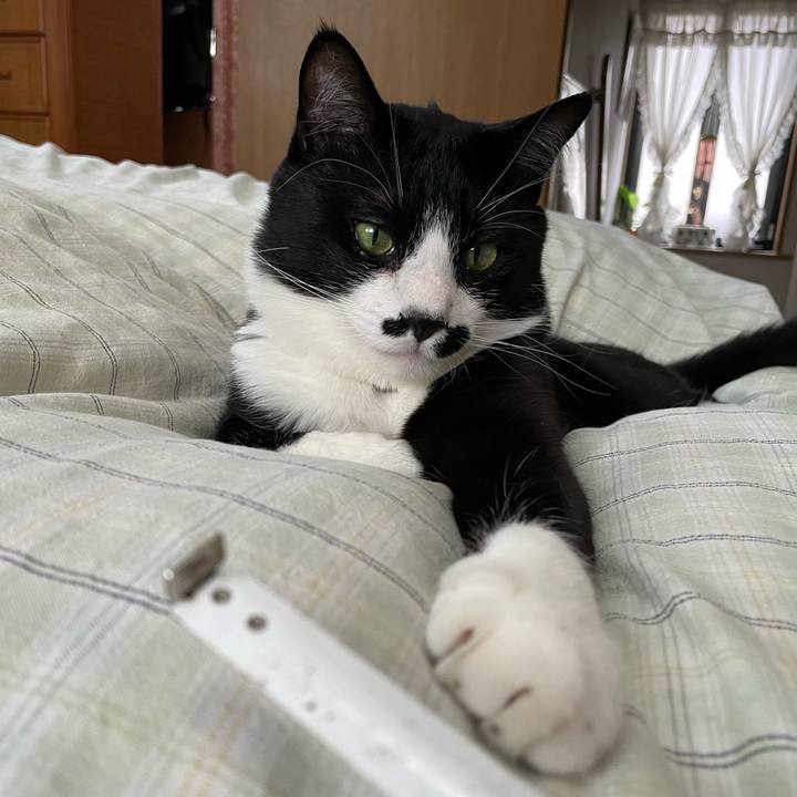 E54c5097 58d0 4db0 b3d8 d272e0b305ac 1650591159358