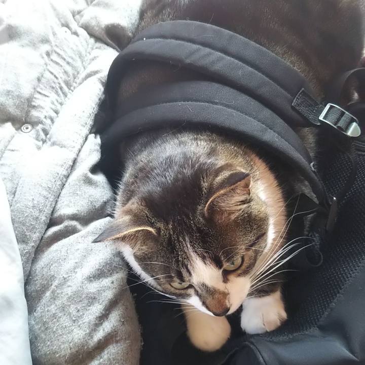 E54c556c 3322 4aea b461 010b5816ca50 1615435411624