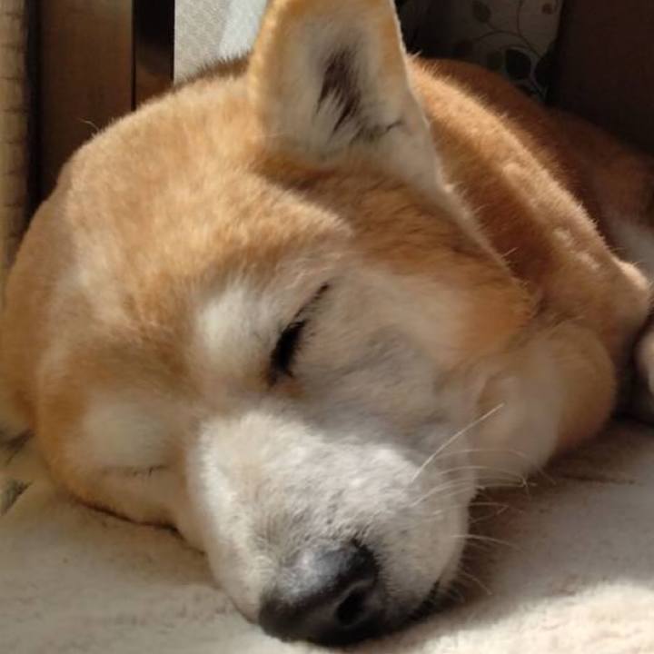 E54c9e1e 9500 4361 acf6 8f6708a04bf6 1715385612390