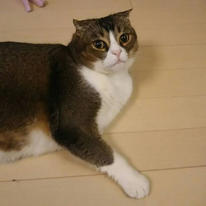 E54cee60 ae05 4f84 92ad 1e3aa191da47 1543877622434