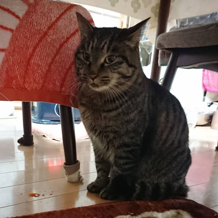 E54cfccf ff75 4ad3 a7f7 1f980c9c63b9 1638737344796