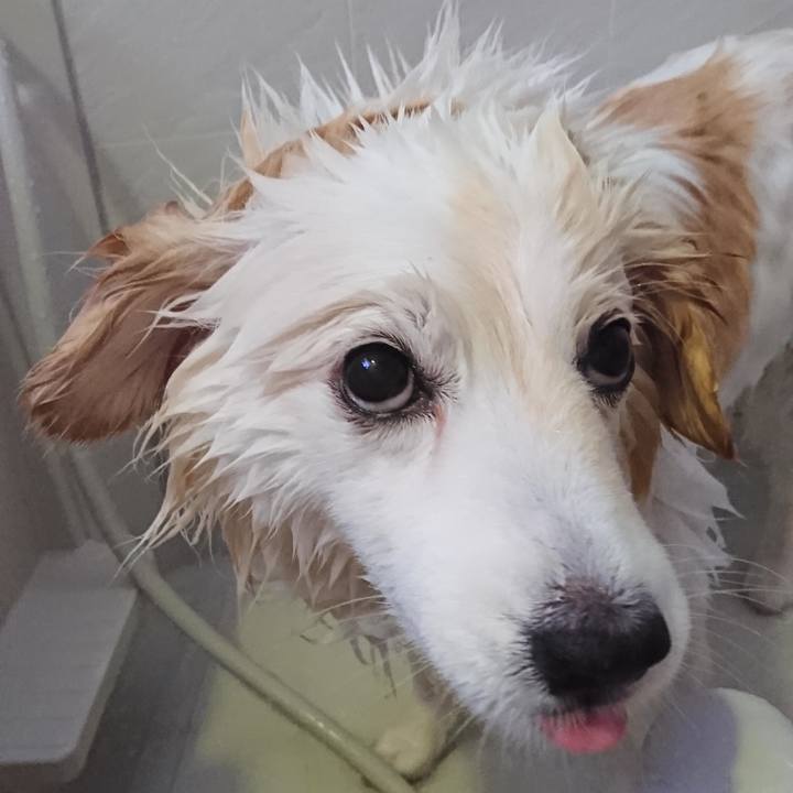 E54d2cf4 f155 49c4 b42d 6034f56f2db7 1524969634282