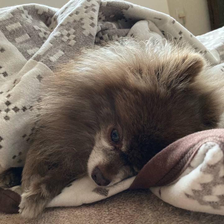 E54d4cf5 a174 4628 b181 46e9c87cc01d 1672279775963