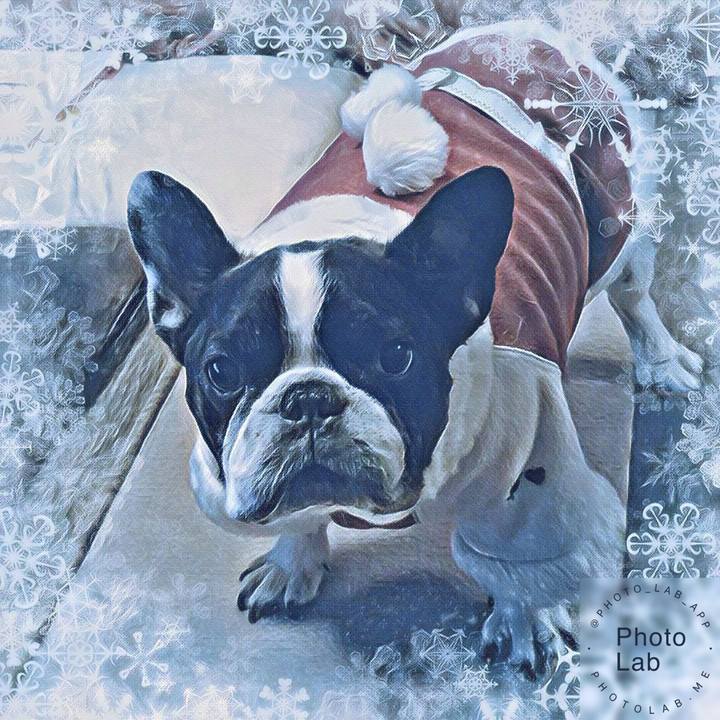 E54d7219 8cec 4544 ad31 427b7b8a256b 1545121815692