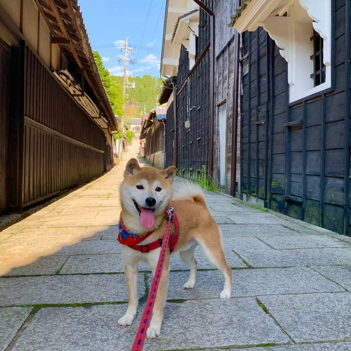 E54d7bf0 9b5a 4bd3 9f32 e684d3bde1b2 1621760462876