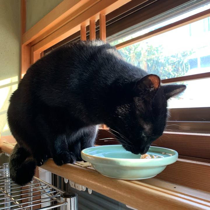 E54dd5f5 7d41 4e41 b6f7 ff6193399519 1578706106572