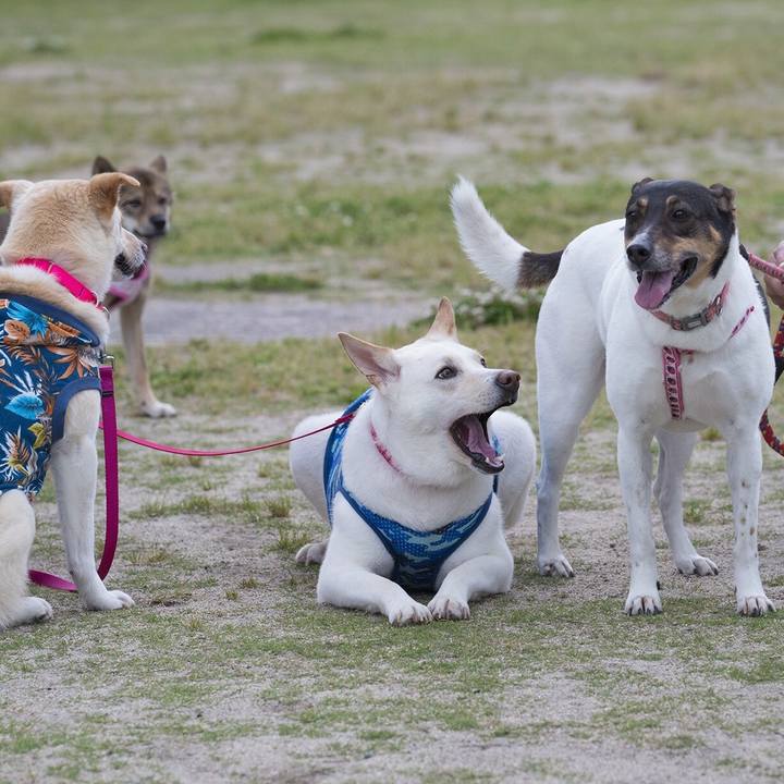 E54de120 9630 461f 8a13 8eab70e19ee9 1526831597253