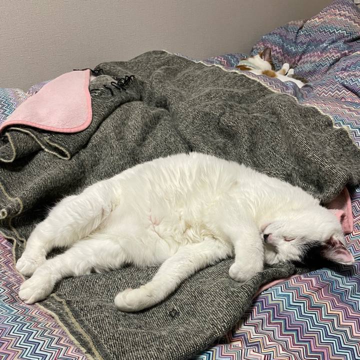 E54df728 e889 4b35 bbad 7b742b0844b1 1668864387921