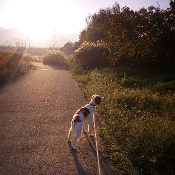 E54e2f6b 8ed3 4253 8140 2225c0293529 1509408039479