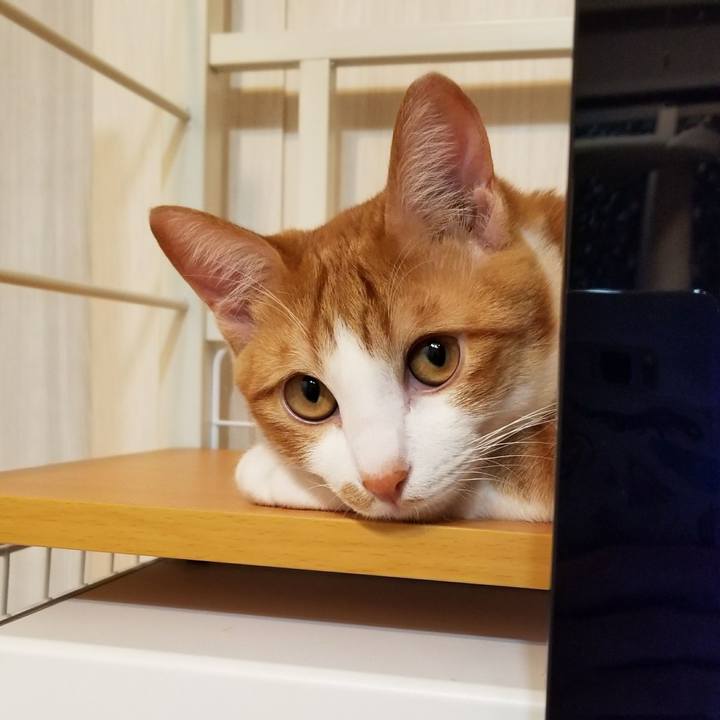 E54e5fd1 e58d 4017 b0c1 1ae97fe797fa 1518969031257