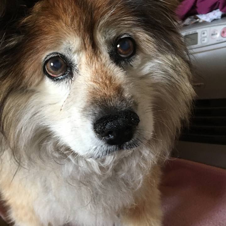 E54e6ef1 3831 46e4 911d 0a7906a2d219 1575952551401