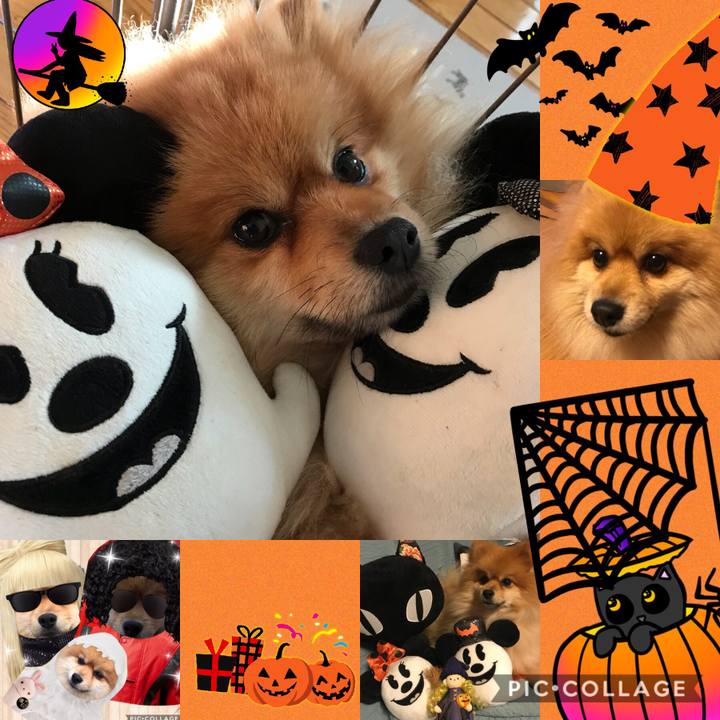 E54e7dfd 15f1 45af 8643 a0f64a3399a1 1509397772250