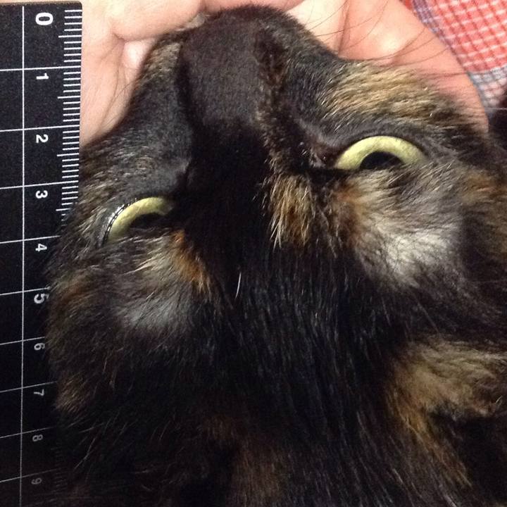 E54e9202 9c49 4cde ac4d 121a6a330de1 1519597902554