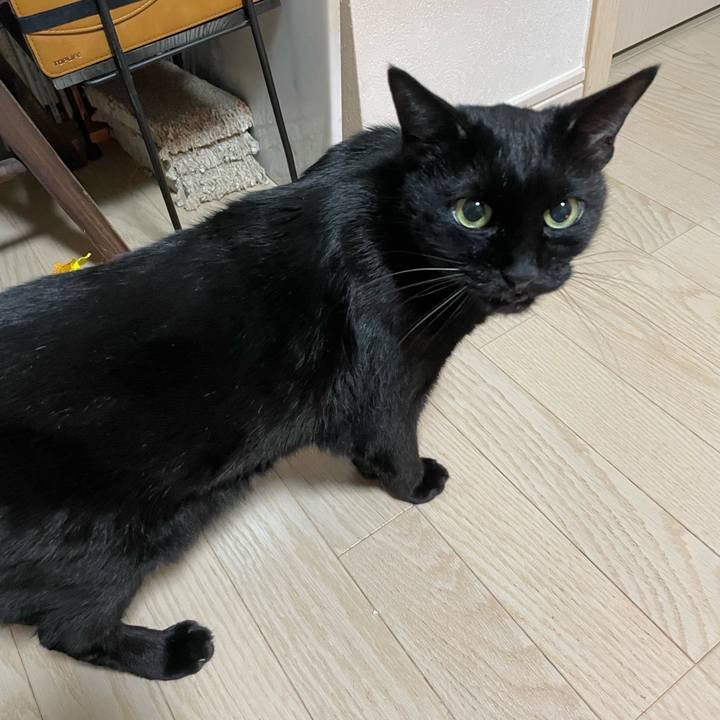 E54eafad b4d9 4ed4 ad53 8926b0879a59 1767016794200