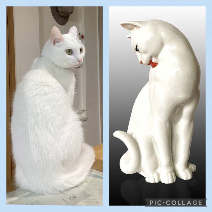 E54ecb11 9a32 4d28 9df8 9cc02469c2ec 1678589908725