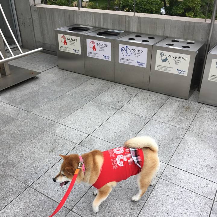 E54efd06 9eb3 4683 bfae 2cbae680f319 1569059077258