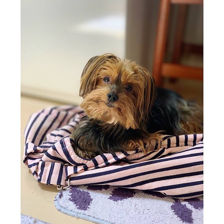 E54f40ee 3ade 4b9f 9034 a394294a8c80 1558226839458