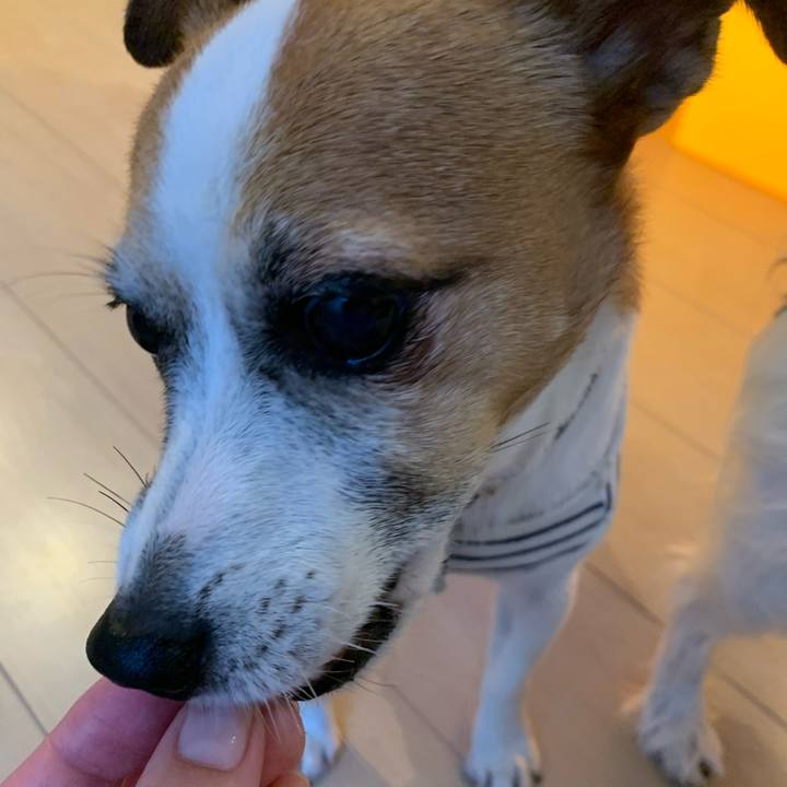 E54f43f7 17ee 4d98 9476 84012f3cbb6b 1602663228077