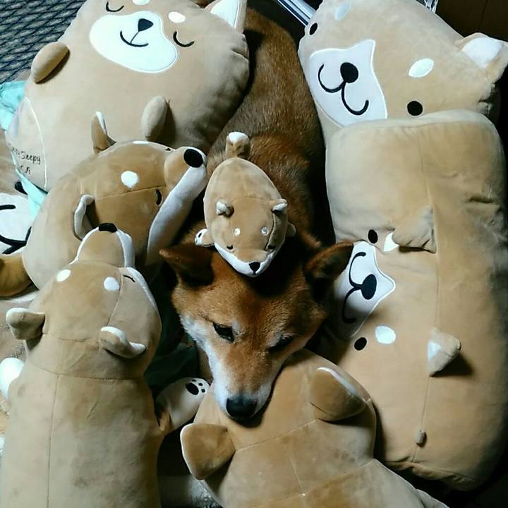 E54f732a 98f6 440f 9fe0 79ddef70b9be 1528694647958