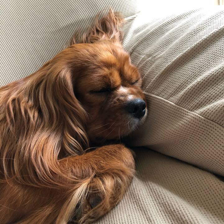 E54f9e64 3f4b 4501 a226 337f055108a2 1592726185493