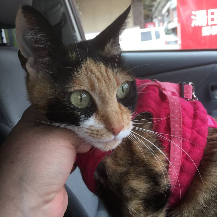 E54fa9a8 df61 443b a432 7610a5372106 1522892240715