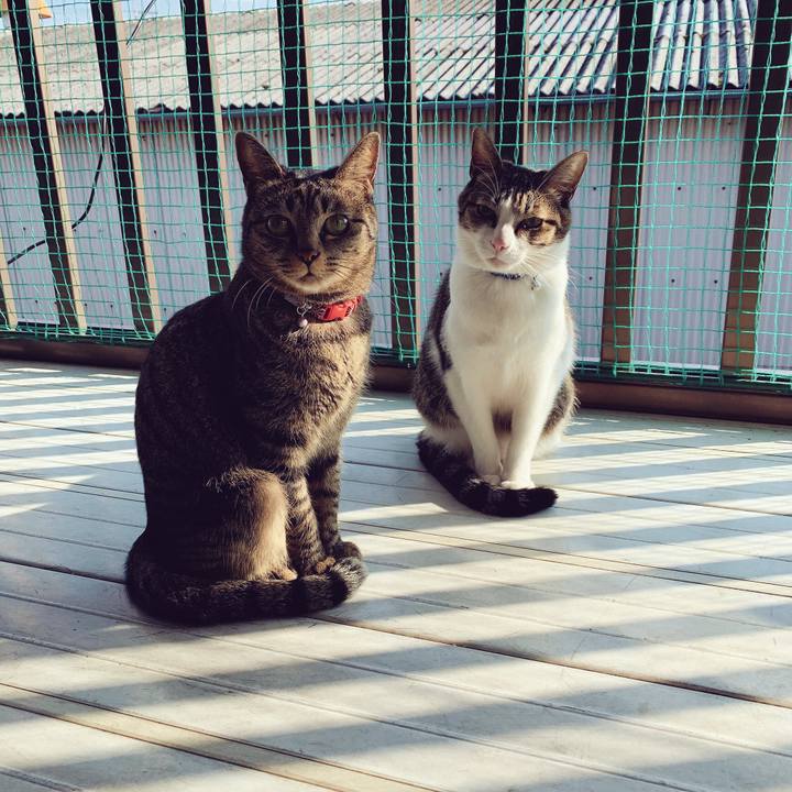 E54facd8 3f23 4b19 8abf 088ac55120ed 1545271795771