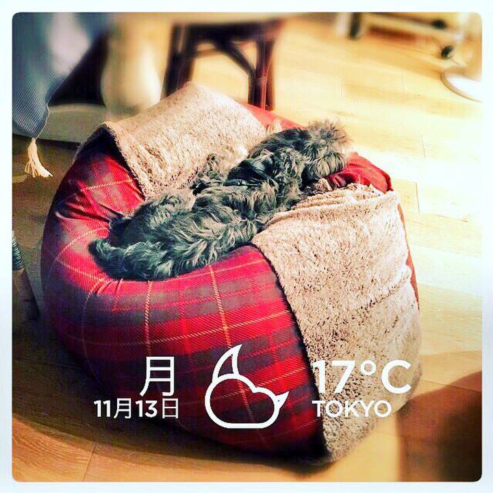 E54fafbe 0d26 4724 96ae 00983ac0aa37 1510565236375