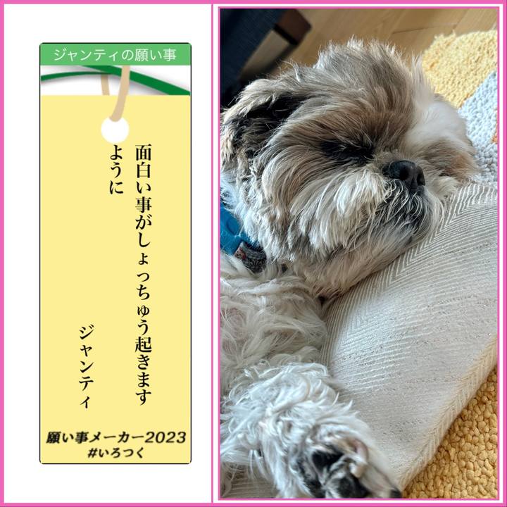 E5504e14 6a71 472b 8f01 86a9d9e5c025 1688733834978