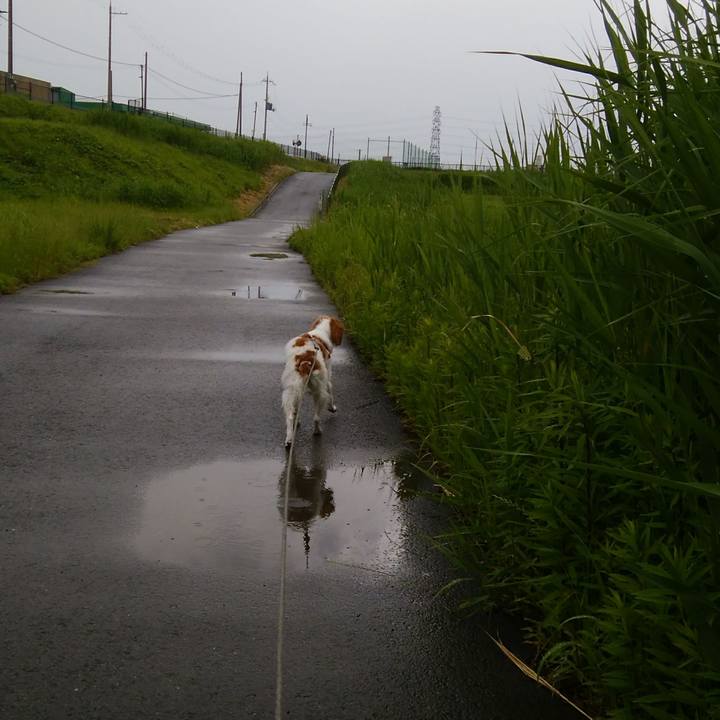 E55058e2 035a 4e89 88da f0aba9ea14d4 1527066414863