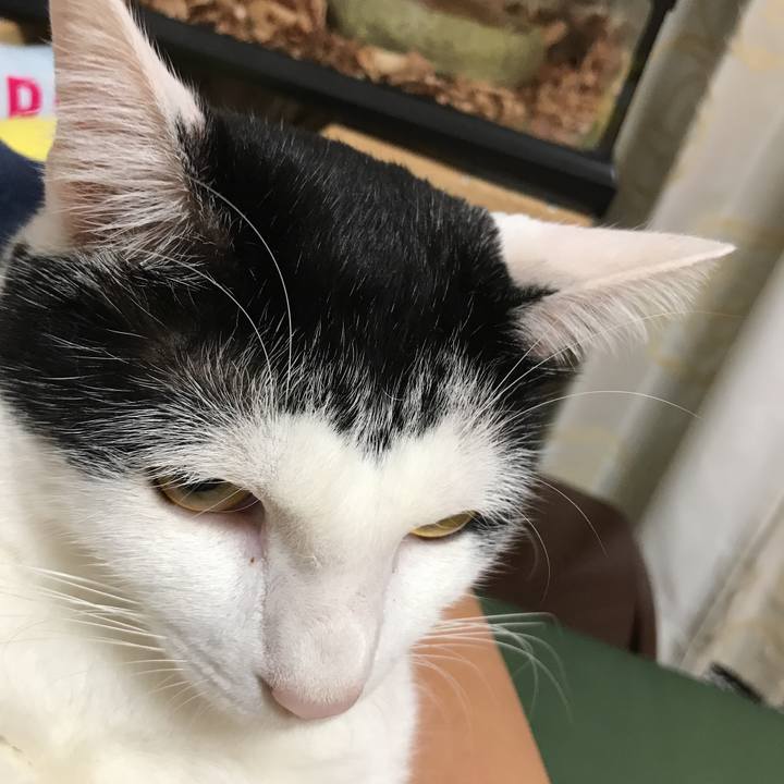 E5507794 a9f6 499f 9036 d3f566f683c8 1535024447705