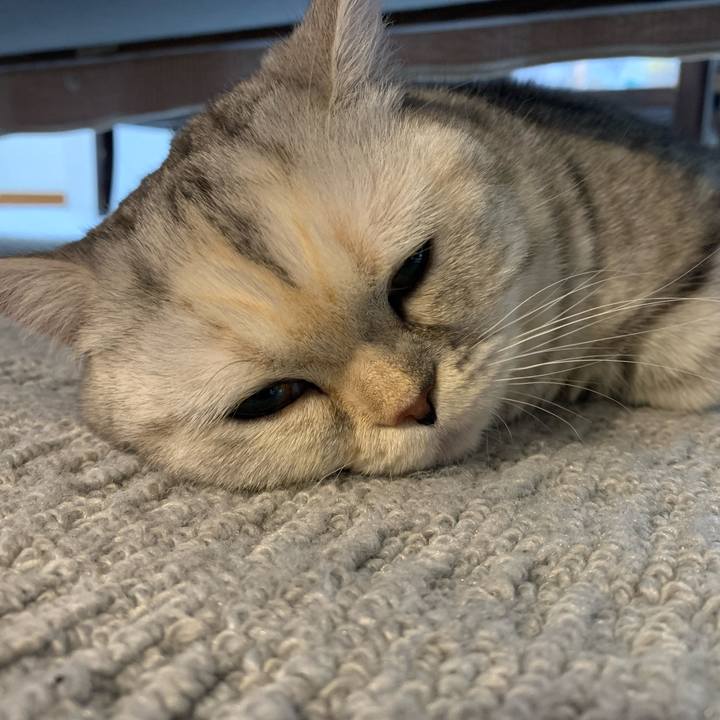 E55078b1 eac4 4224 a0b9 7b85d233c1f0 1706519539264