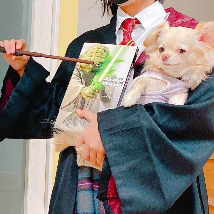 E550d310 08cd 4c68 885e 9ac2c2188d77 1638499590285