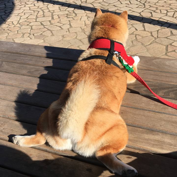 E550d4b0 dc4d 4ce0 8893 f1cfd03cd9b9 1607315282951