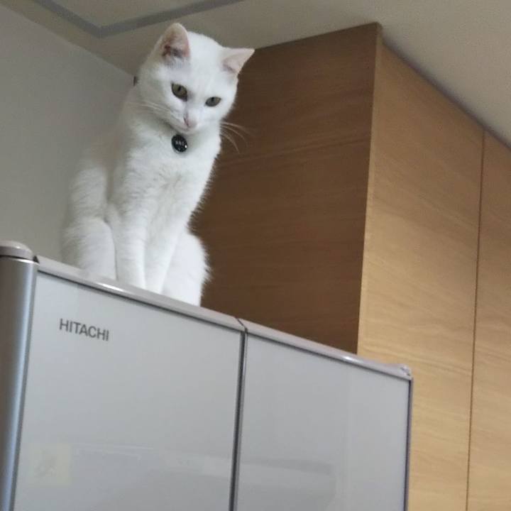 E550db99 e851 4256 b4aa d9d6db75263e 1639785415972