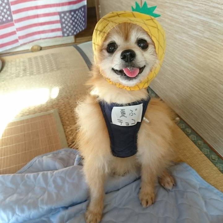 E550ddc7 71d0 4d80 b62e 3a93f91210ea 1533170223083