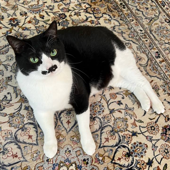 E5510501 75ec 4e23 b789 4a8f114d23e0 1763677566832