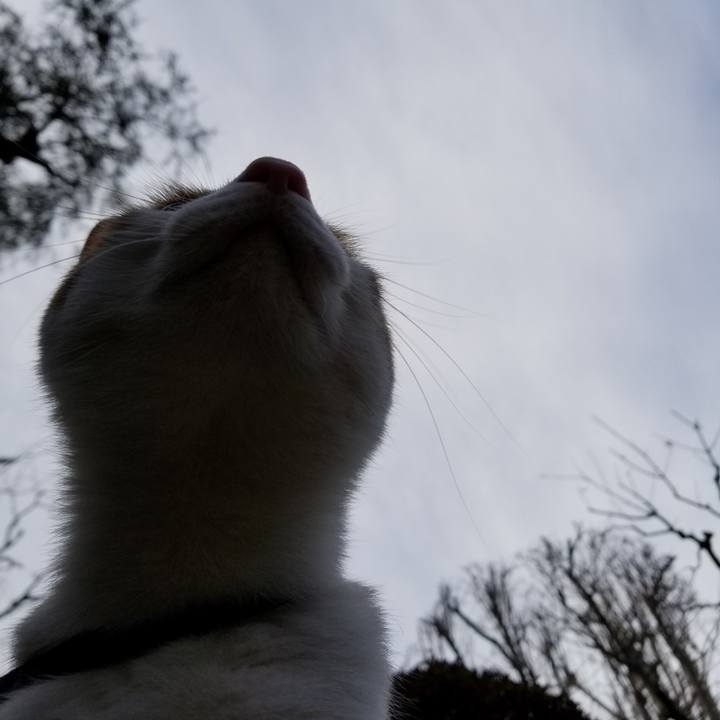 E55107d4 a44c 4952 98f7 fb9da2e9cb4a 1515395278262