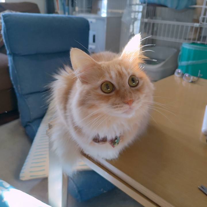 E55127d0 7046 4eaa 89cb 1e8c904936ee 1696287258846