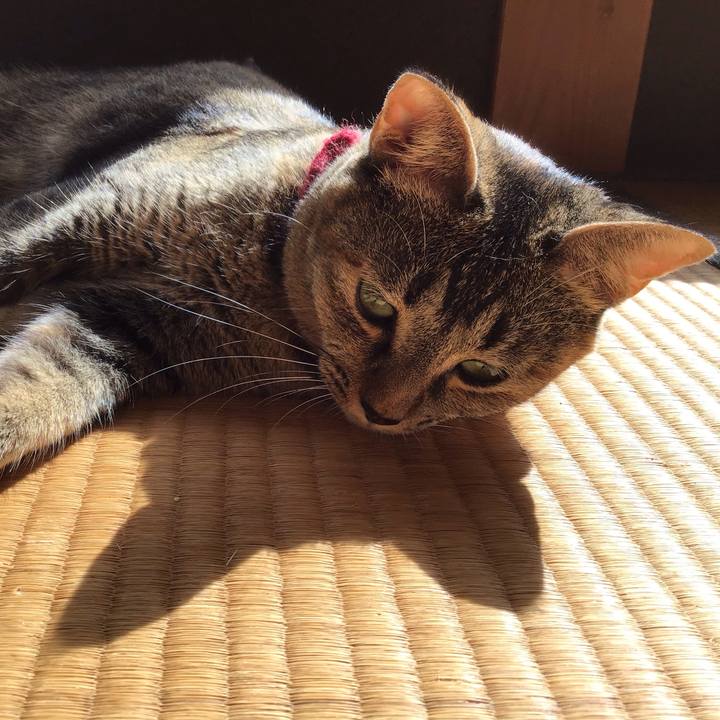 E5515914 424c 494d 9359 90880a84f973 1600477779944