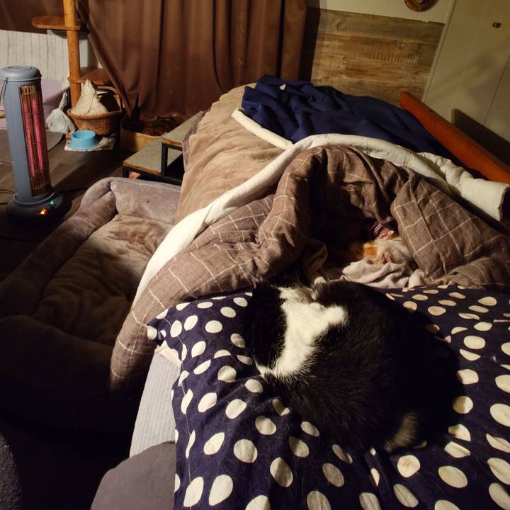 E5517586 da19 416c 937e 81439e3137b8 1772794515061