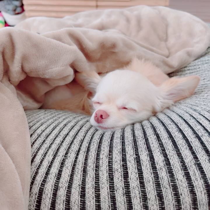 E5517b68 21e3 4c01 b328 7290fe57b8ca 1692254634248