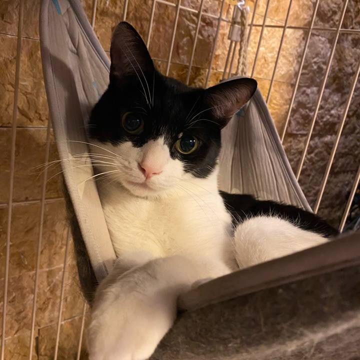 E5518b3b 3482 4f30 abb3 bfd014f9a975 1747566508818