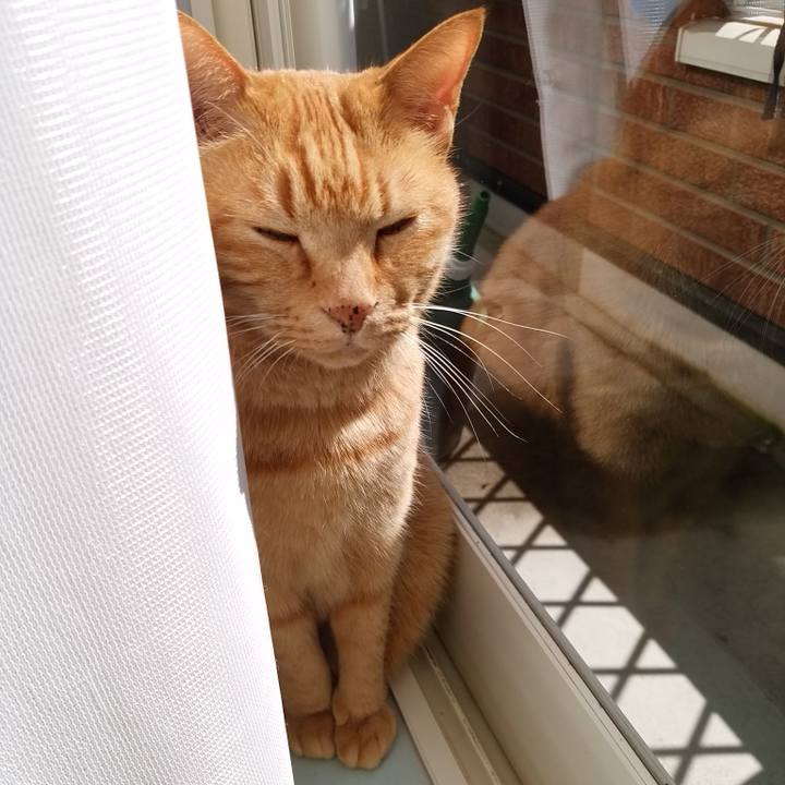 E551b61b 360c 4e57 9870 add06e780b4d 1744250171934