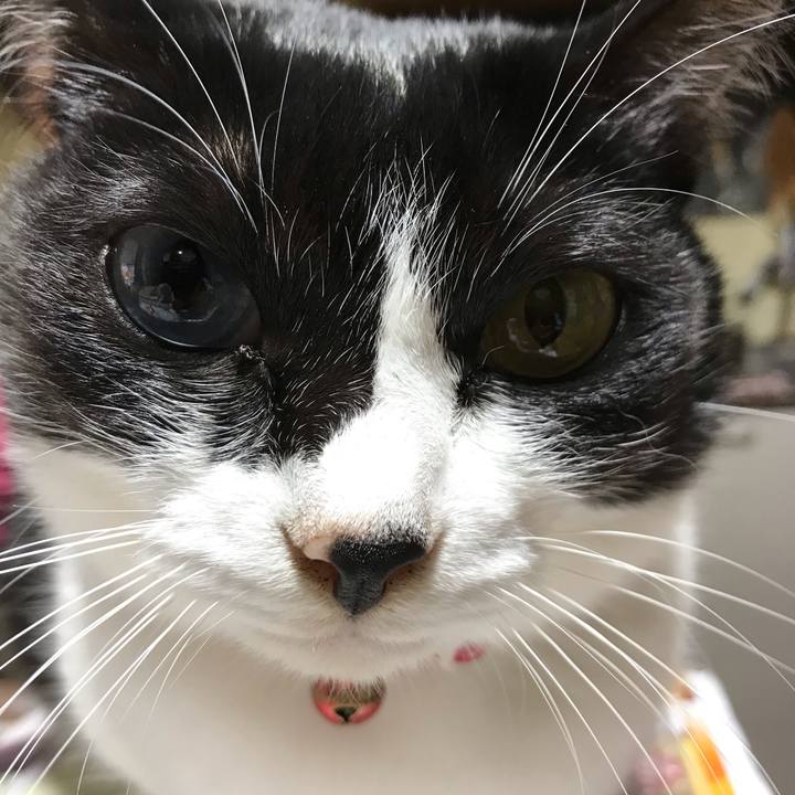 E551be1b 42c2 4722 8578 fd159608497a 1541494838300