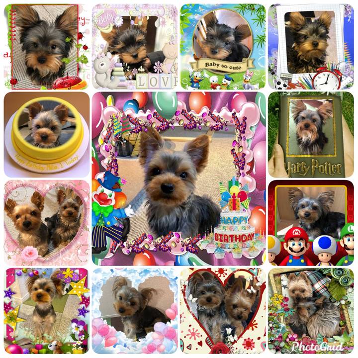 E551d915 0108 4f89 8f89 1f1281669871 1569625123687