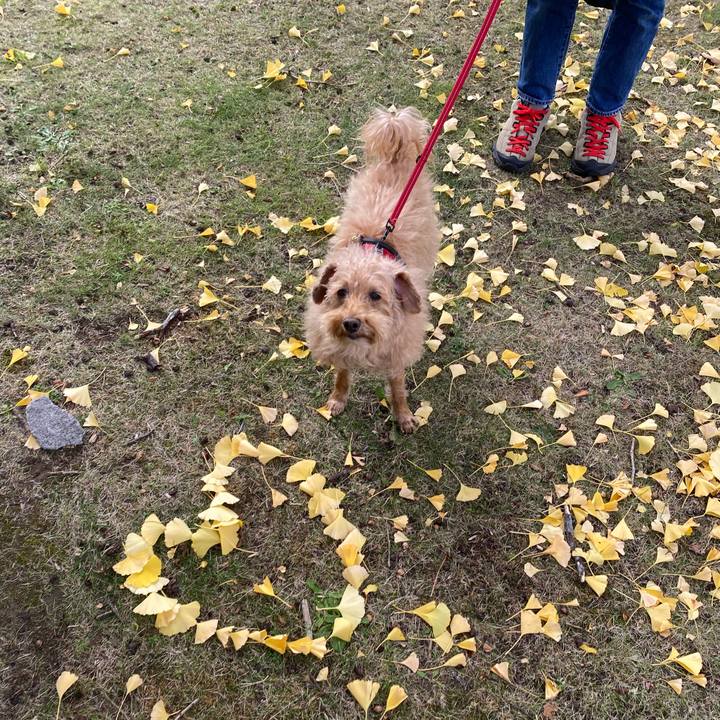 E551e798 87e8 4f34 b324 a1979d782416 1667787072461